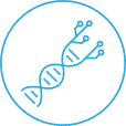 Méthode Agile